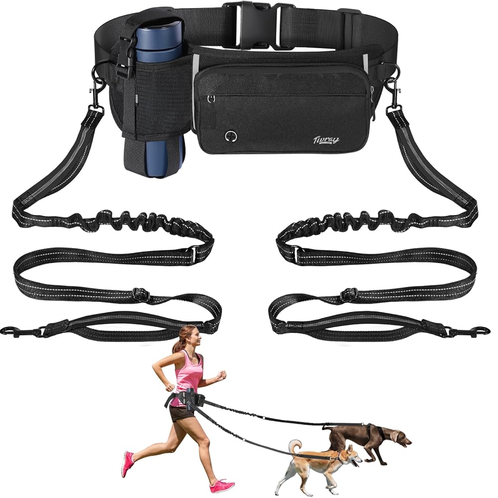 Hands-free dog leash for 2 dogs