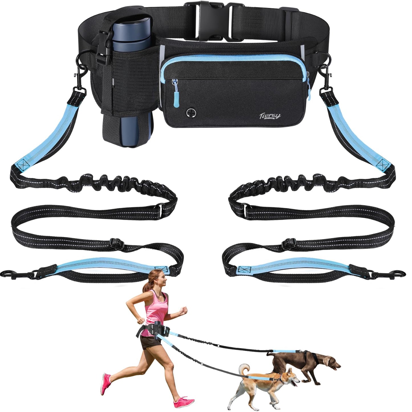 Hands-free dog leash for 2 dogs