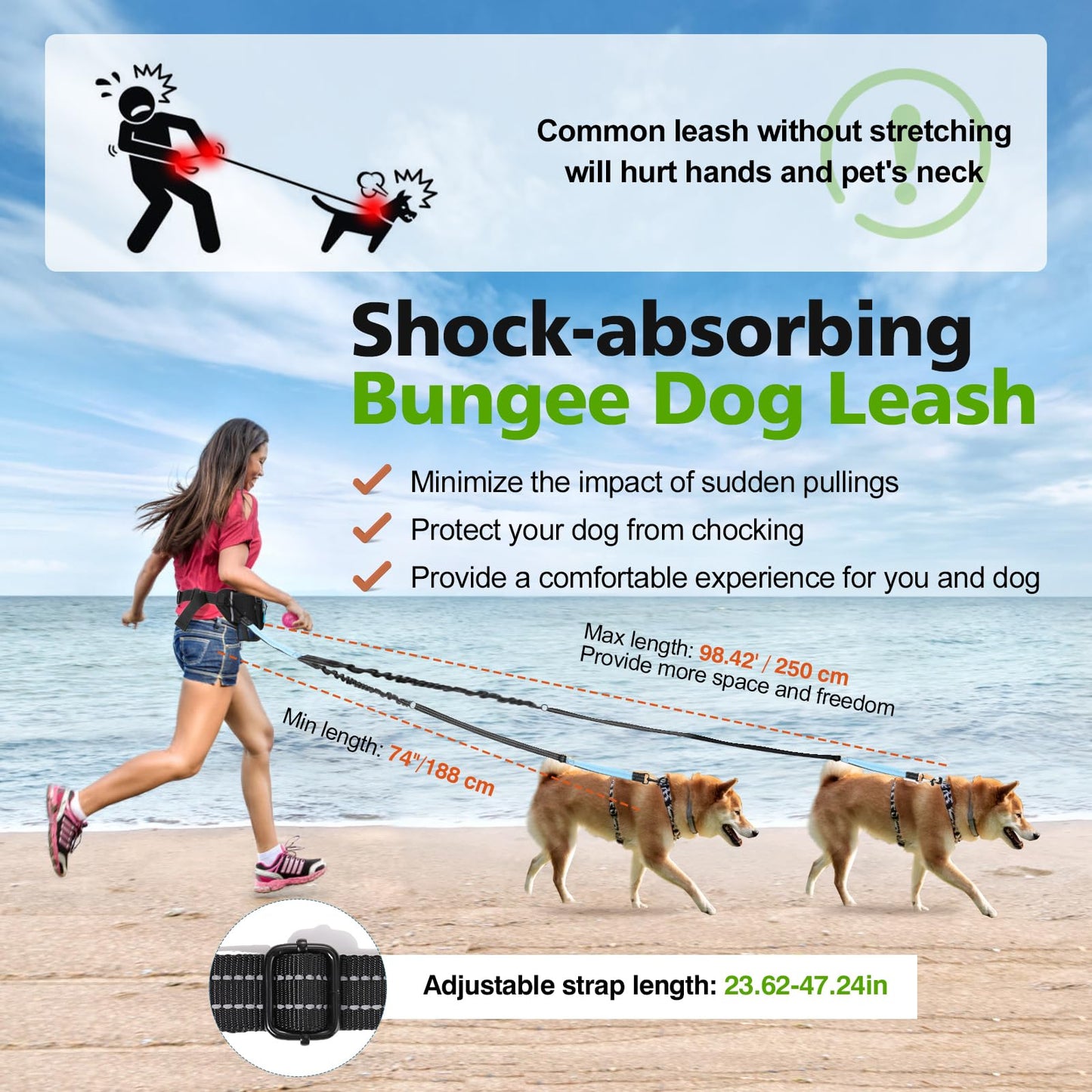 Hands-free dog leash for 2 dogs