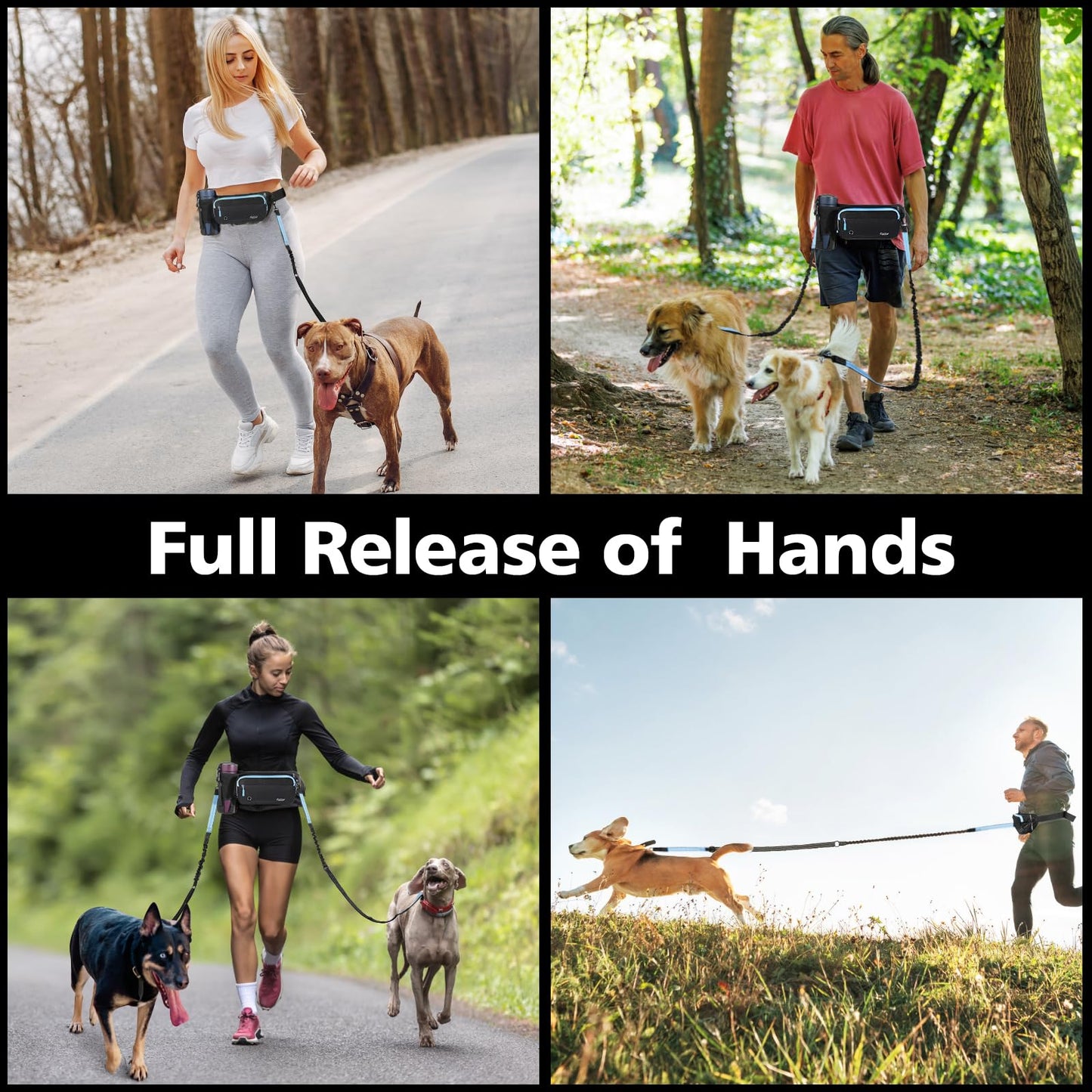 Hands-free dog leash for 2 dogs