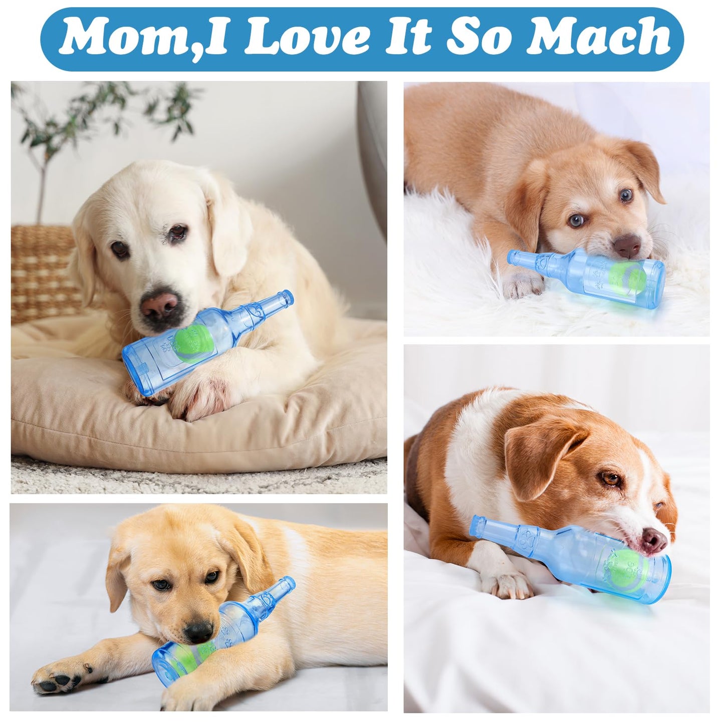 Pawaboo Blue Water Bottle with Tennis Ball & Squeaker, Durable Toy for Aggressive Chewers