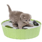 Pawaboo Automatic Hide-and-Seek Running Mouse with 2 Speed Modes, Safe & Durable