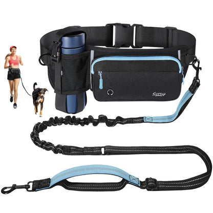 Hands-free dog leash for 2 dogs