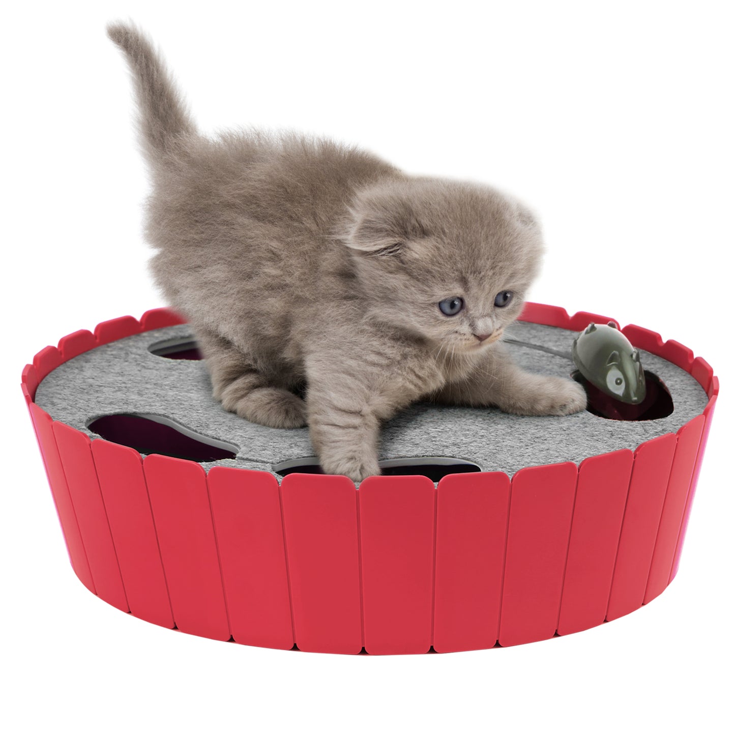 Pawaboo Automatic Hide-and-Seek Running Mouse with 2 Speed Modes, Safe & Durable