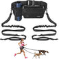 Hands-free dog leash for 2 dogs