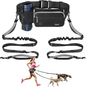Hands-free dog leash for 2 dogs