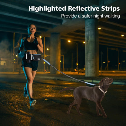 Hands-free dog leash for 2 dogs